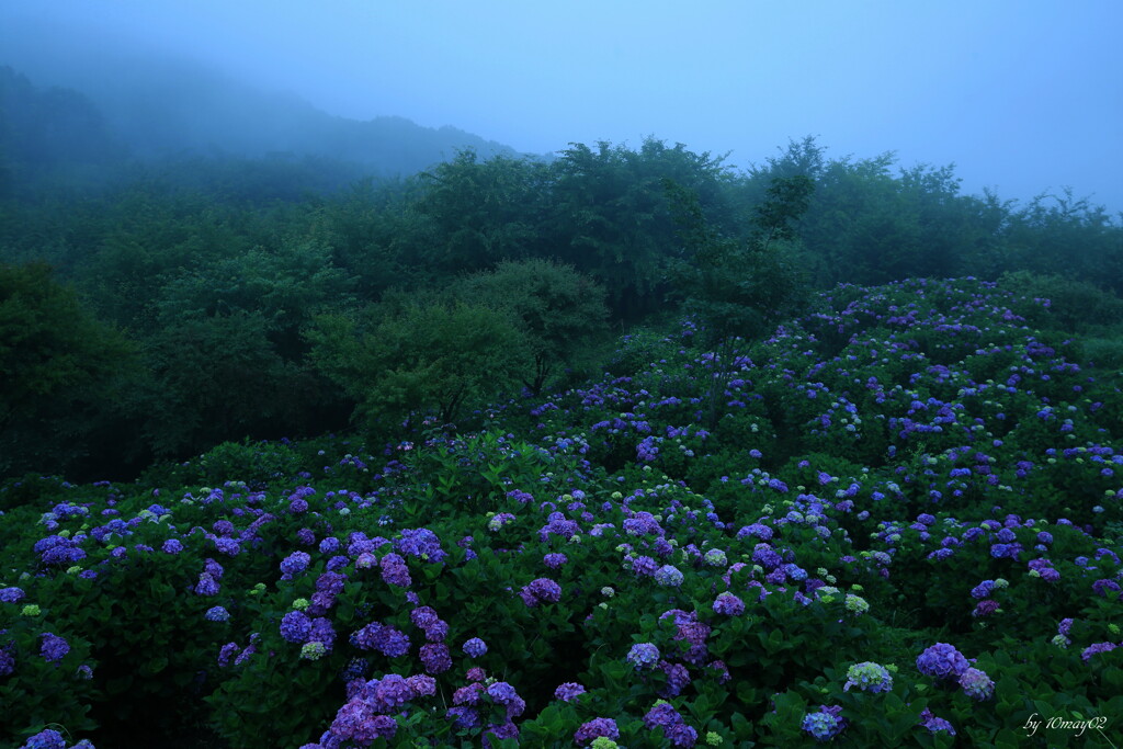 雲霧