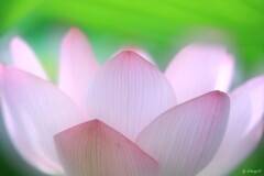 目覚め