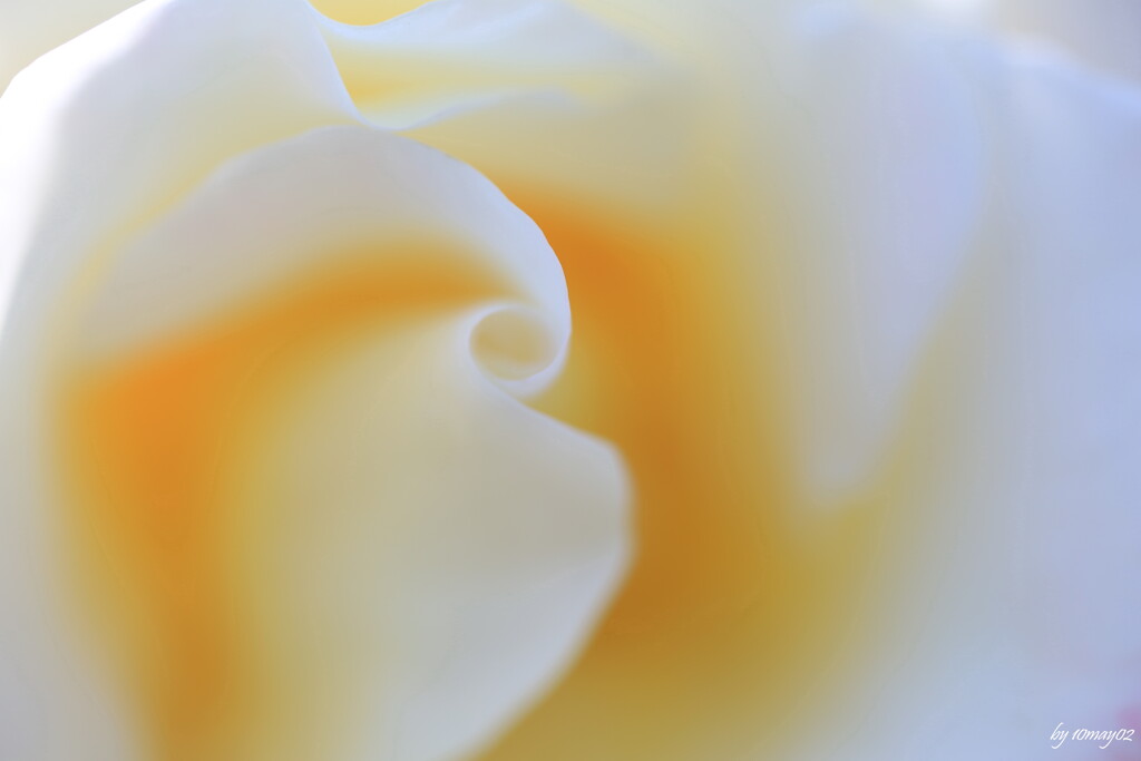gradation