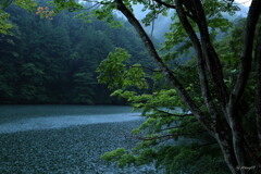 雨下