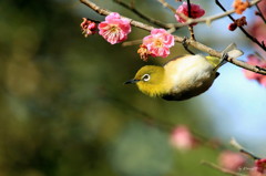 春陽を浴びて