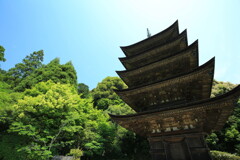 旅HITO　～国宝 瑠璃光寺五重塔～