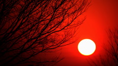 明日に向かって