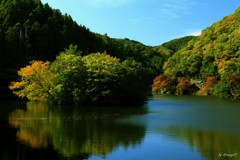 湖畔２