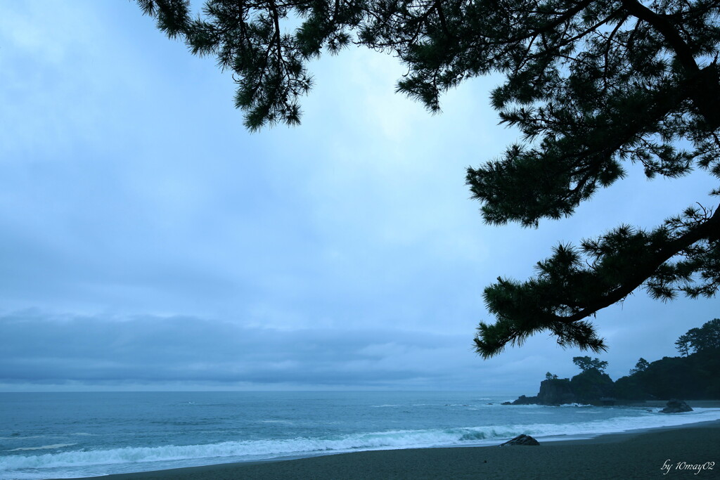 旅HITO　～青松桂浜～