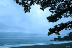 旅HITO　～青松桂浜～