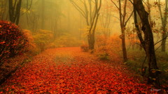 霧雨の秋を歩く