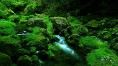 苔岩