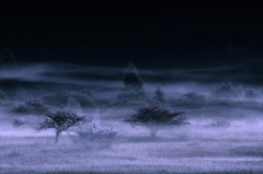 朝靄