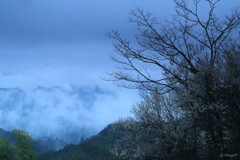 霧雨２