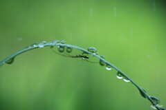 雨宿り