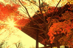 平林寺