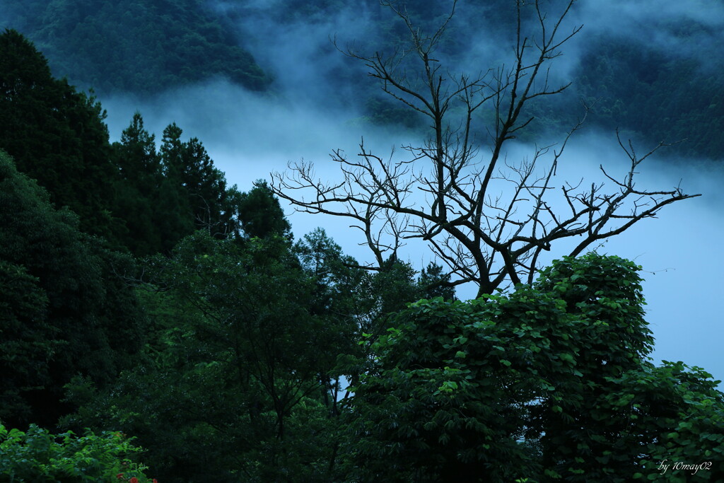 山雲