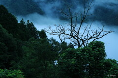 山雲