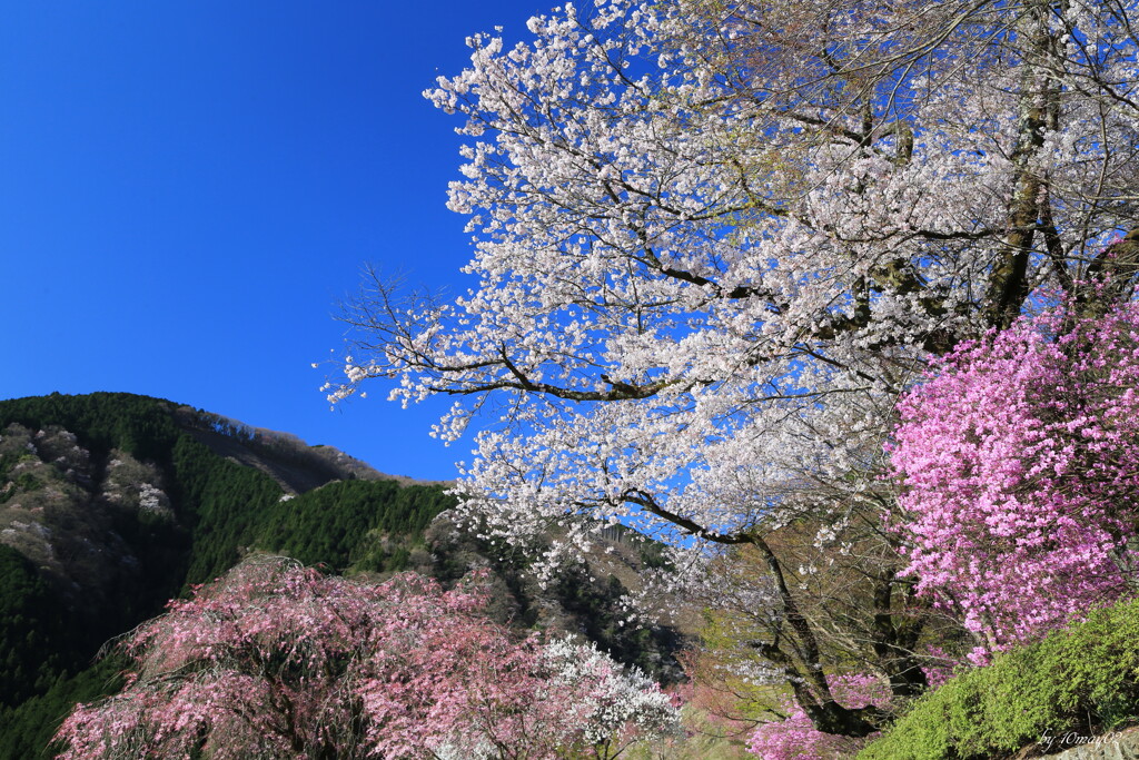 龍珠院２
