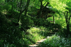 山寺