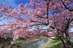 水路の河津