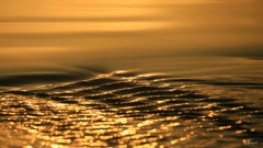 夕照