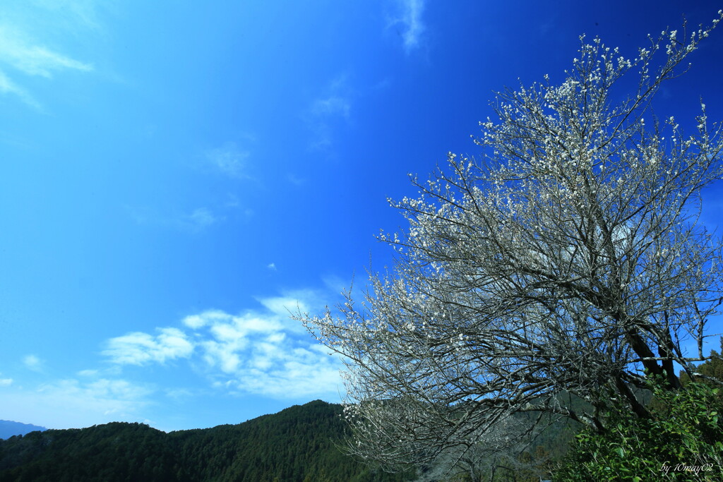 天高く