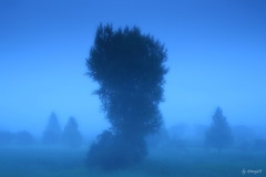 幻影