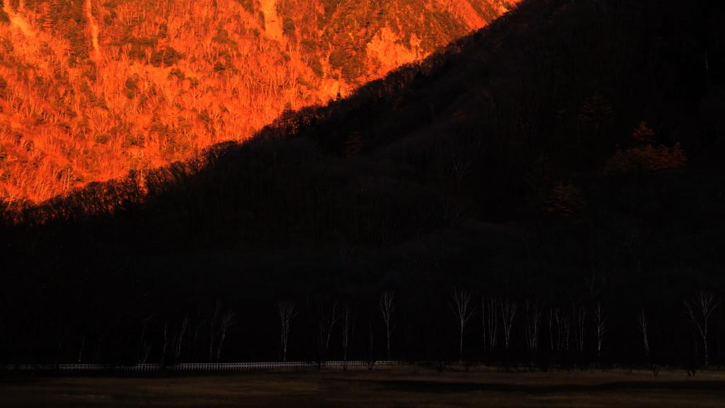 小田代　斜光