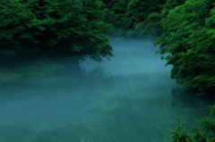湖上の霧　～奥多摩白丸ダム～