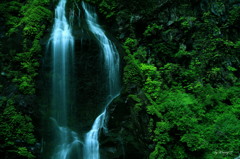 落水