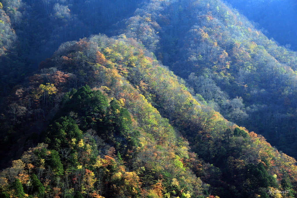 秩父秋景