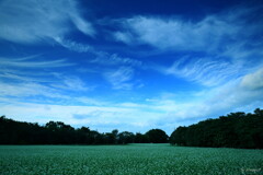 秋空