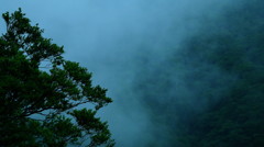 山霧