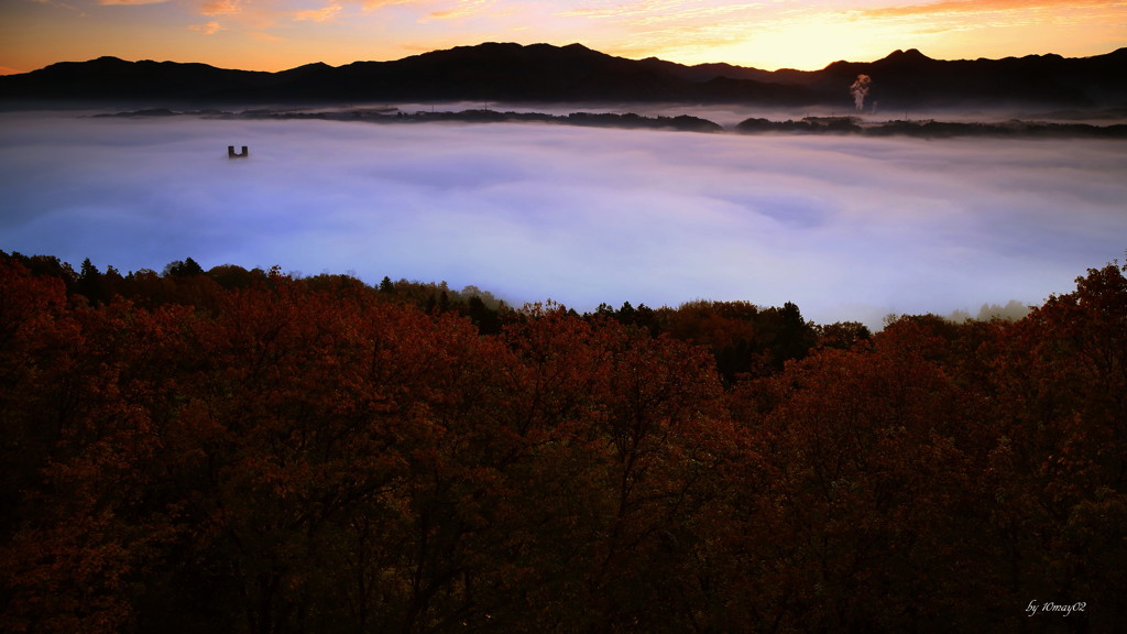 紅葉樹林