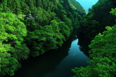 深山新緑