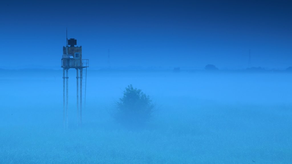 未知との遭遇
