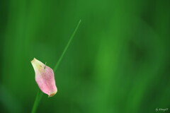 絶妙
