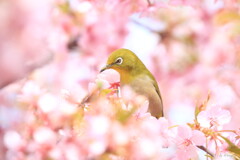 待ってたよ・・・
