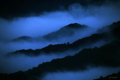 山霧