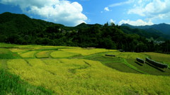 穣りの里山