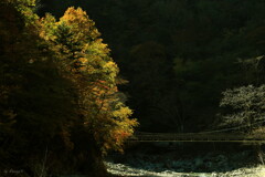 吊橋