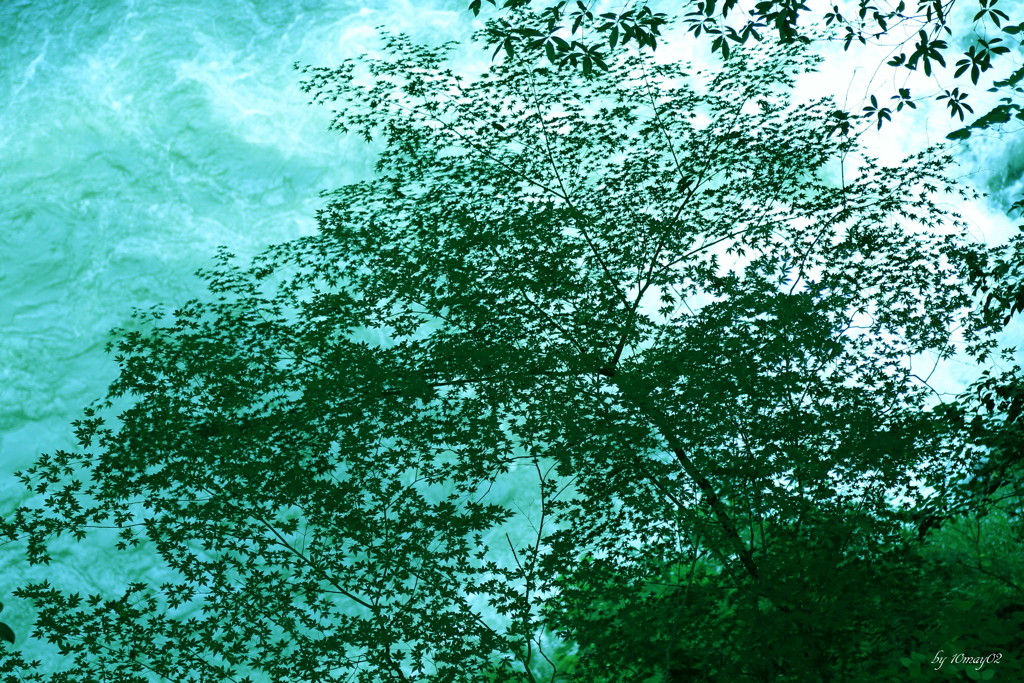 夏の涼