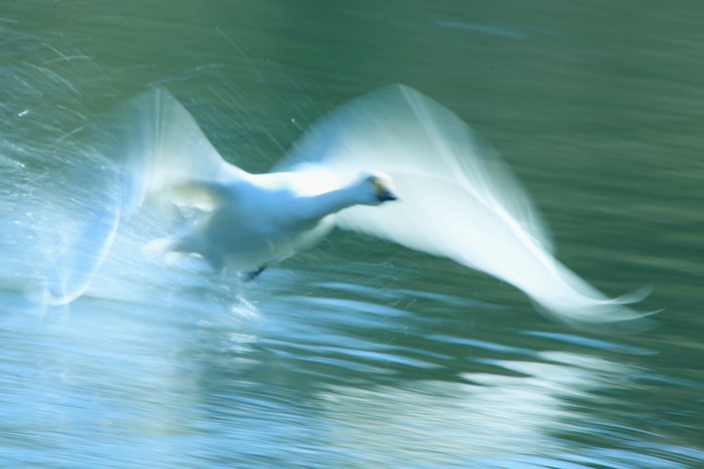 splash 