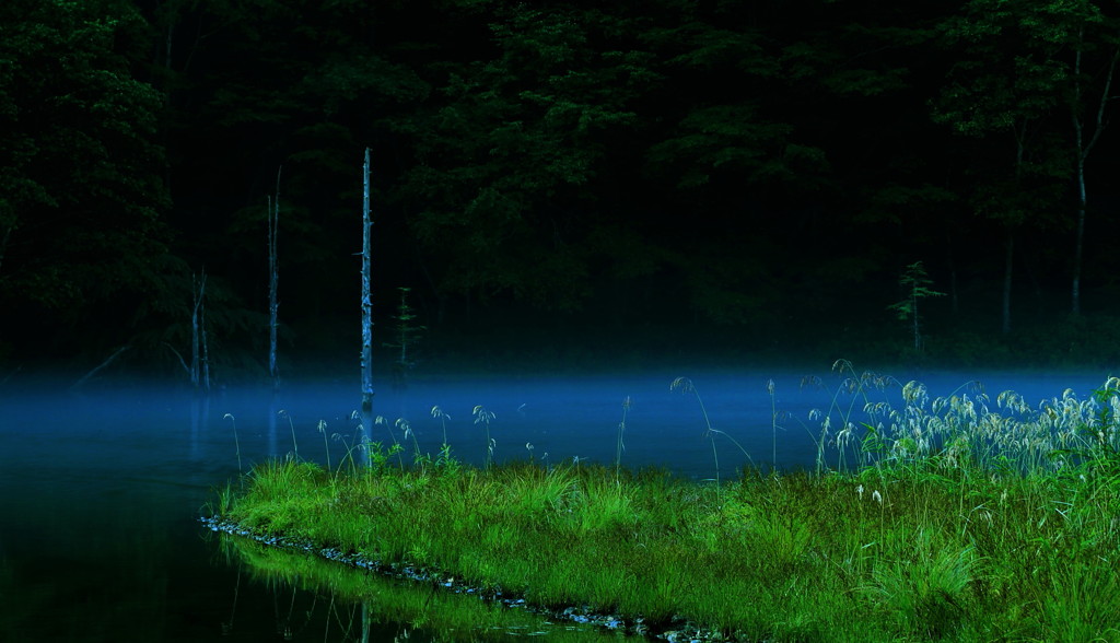 梓の幻影
