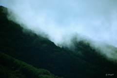 滑昇