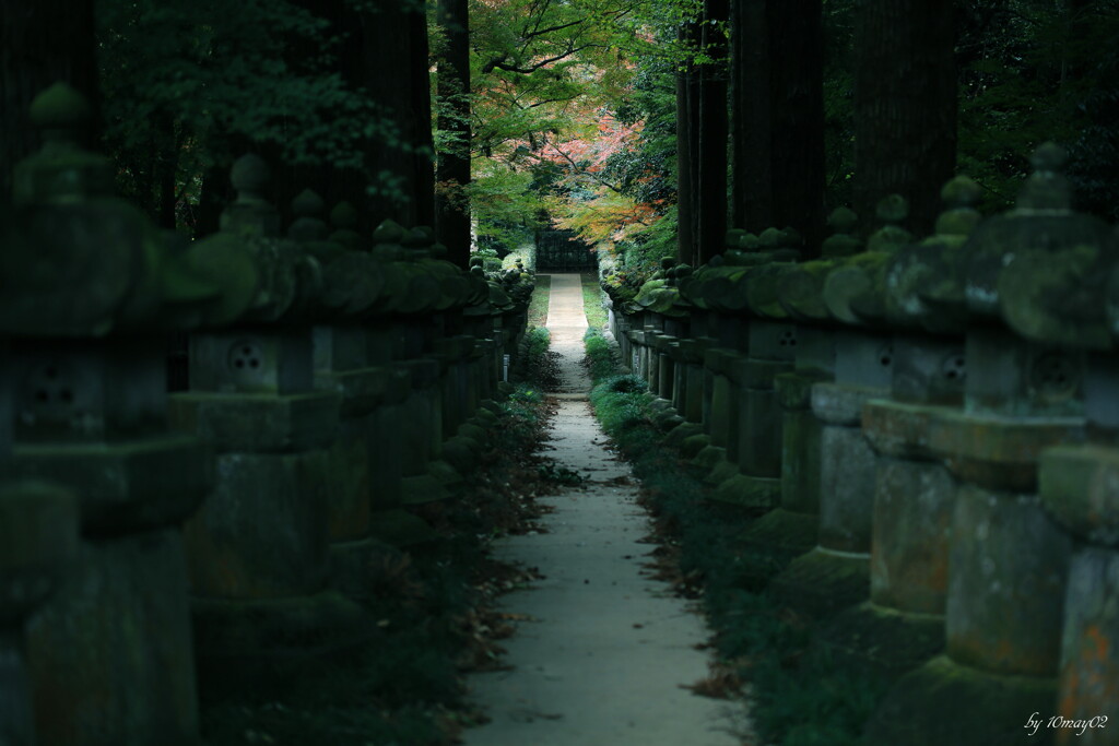 悠久の時