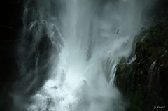暴瀑