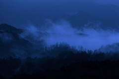 雲竜