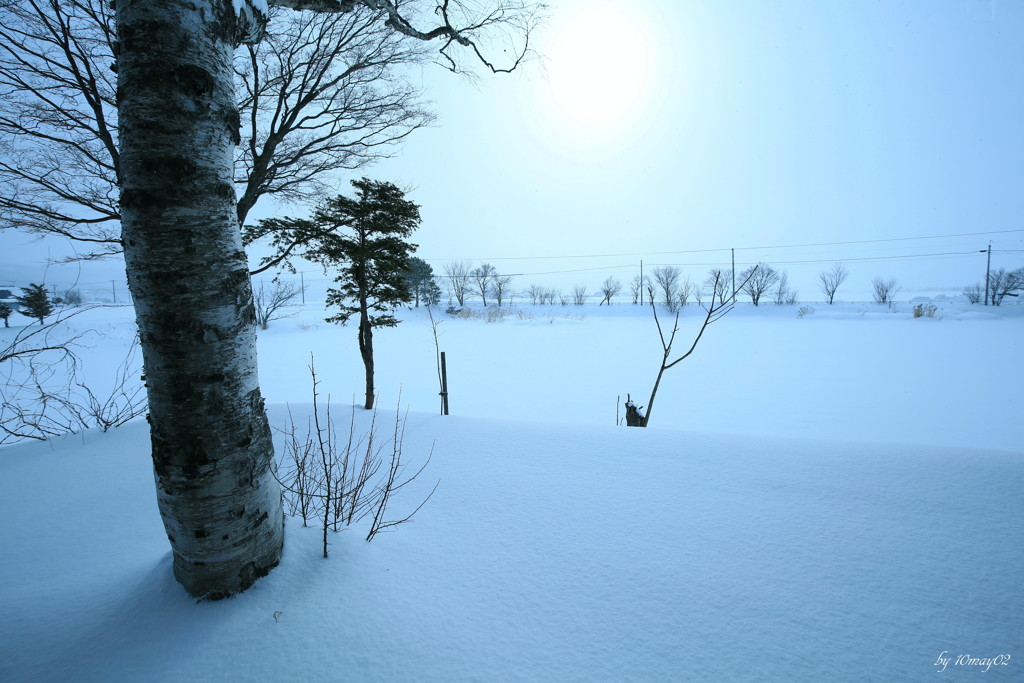 深雪