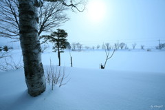 深雪