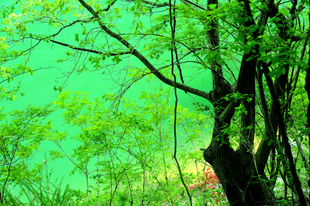 湖畔
