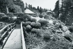 細雪