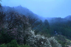 寒春